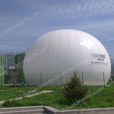 Id-Detentur tal-Gass tal-membrana tad-Double Membrana mmuntat mal-art