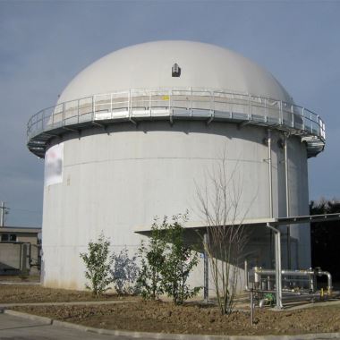 Saqaf Top Dual Membrane Gas Globe